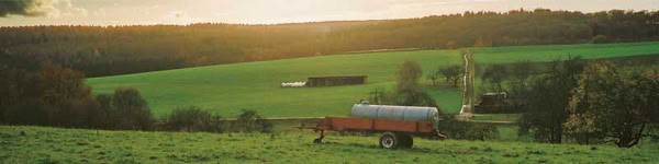 Grüne Landschaft bei Meinborn